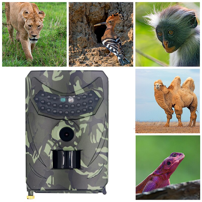 PR100 12MP Trail Camera – 1080P Video, 0.8s Trigger, 940nm Invisible IR & IP56 Weatherproof
