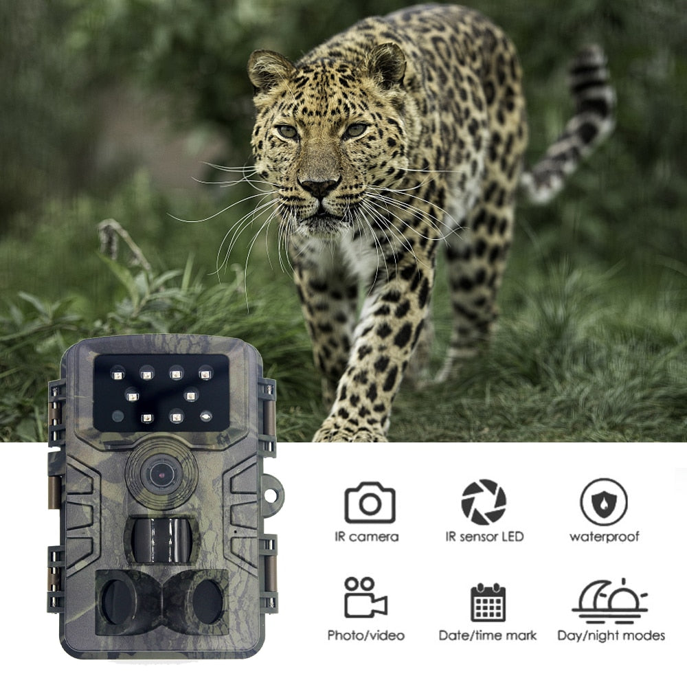 PR700 20MP Trail Camera – 1080P, 0.2s Trigger, 120° PIR Detection & IP66 Waterproof